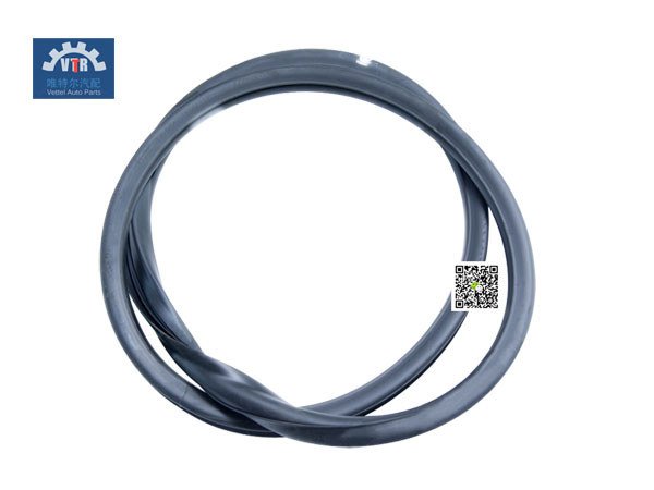 DZ14251710051  后窗玻璃密封條臥鋪加寬 Rear window seal strip SHACMAN X3000